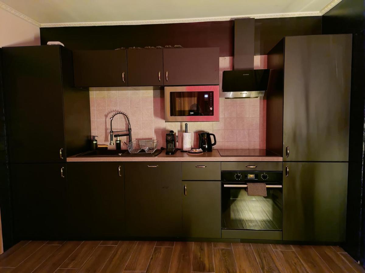 La Loveroom Bdsm De Nice " La Chambre Luxe Des Desirs " Dış mekan fotoğraf